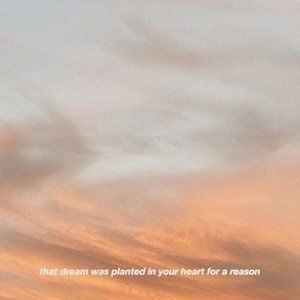 Meet your Posher, Alisha